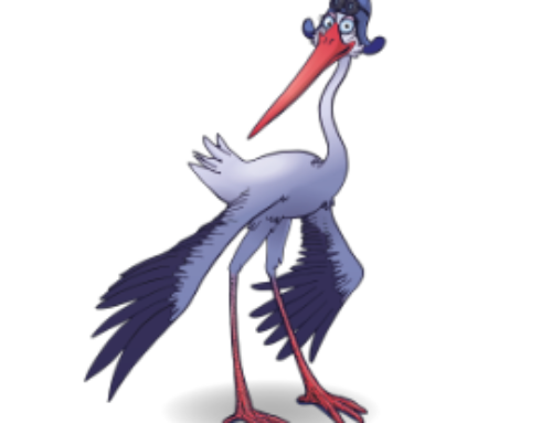 Cigogne Express : la petite mise à jour